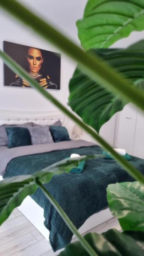 Apartament Ariana Rasnov